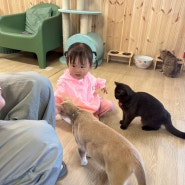 유기묘 보호협회에서 운영하는 부산 고양이 카페 "집사의하루"