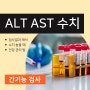 ALT AST 검사 결과 해석과 수치 높을 때 간 건강 관리 팁