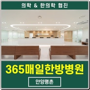 안양한방병원추천 세심하게 진료해서