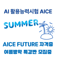 AI 활용능력 시험 AICE FUTURE 자격증 - 여름 방학 특강반 모집 중(전국)