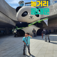서울 동대문 근처놀거리 : 가족여행 하루코스
