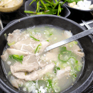 양정동 부산시청 맛집 일타돼지국밥 점심으로 강추
