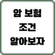 처음부터올케어암보험 그리고 엠지암보험일반암 및 MG암실비보험 실속있는 보장으로 마련하세요