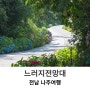 전남 나주 가볼만한곳 수국 명소 느러지전망대 오늘 개화 상황