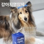 기호성좋은 반려동물 항산화영양제, 바이알코드 헬씨에이징