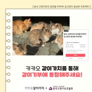 [#카카오같이가치 모금] 동네 고양이와의 공존을 위하여! 길고양이 중성화 프로젝트