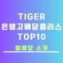 국내 월배당 Tiger 은행고배당플러스 TOP10 ETF 소개합니다.