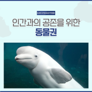 [KAIST라이프아카데미 3기] 인간과의 공존을 위한 동물권