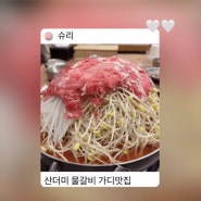 [가산디지털단지] 산더미물갈비 오징어튀김 맛집 수년째 단골집