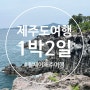 [제주도 여행] 휠체어타고 가능한 1박2일 제주여행♥(2)