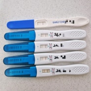 임신 1주차 2주차 3주차 4주차 임신극초기증상 얼리임테기 사용시기 임신확인 후 병원 가는 시기