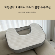 자연생각 오케타니 쯔누가 쿨링 수유쿠션, 여름육아필수템, 여름수유쿠션