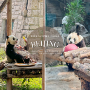 푸바오 친구들 중국 베이징 동물원 판다관, 판다카페
