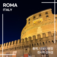 이탈리아 로마 트레비분수 폼피, 나보나광장, 천사의성 야경