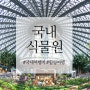 [국내여행] 여름 주말 여행은 초록 힐링 기운 가득한 식물원 / 여름 갈만한 곳 / 여름여행지