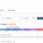 비만도 계산기? 기초 대사량 계산기? BMI 계산하기 PT쌤한테 여쭤본 썰