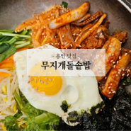 용인 보정동 맛집 무지개돌솥밥 한식 점심 맛집 가성비 돌솥밥정식 추천 오삼불고기비빔밥 추천