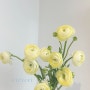 부천 꽃집 에떼베르 / 소담하게 선물하기 좋은 꽃다발 샘플 사진 및 가격 안내(mini~S)