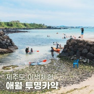 제주도 서쪽 가볼만한곳 애월 투명카약 이색체험