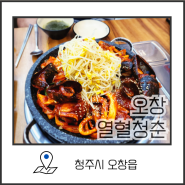 오창 소갈비찜이 맛있는 오창맛집 열혈청춘 방문후기