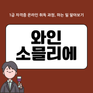 와인소믈리에1급 자격증 온라인 취득 과정, 하는 일 알아보기