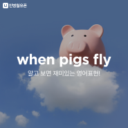 [민병철유폰 영어회화] when pigs fly 알고 보면 재미있는 영어표현!