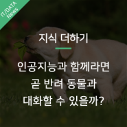 AI 기술로, 곧 반려견과 대화할 수 있는 시대가 올까?