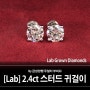 [Lab] IGI 랩그로운 다이아몬드 2.4캐럿 스터드 귀걸이