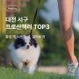 대전광역시 서구 프로산책러 TOP3