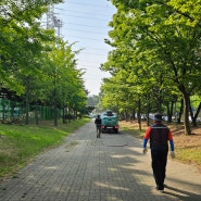 정왕동 체육공원 야구장주변 수목방제작업