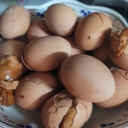 간만에 구운 계란