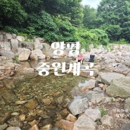 서울 근교 계곡 추천 주차하고 바로 계곡... 물 맑은 양평 중원계곡