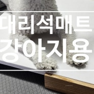 강아지대리석쿨매트 솔직사용후기