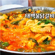 태백 황지동 맛집 원조 태백 물닭갈비