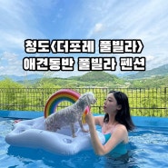 <더포레풀빌라> 대구 근교 풀빌라 청도 애견동반 풀빌라 펜션 ෆෆ