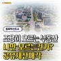 [조용히 오르는 부동산] 나만 모르는지도 충북혁시도시 토지 공매투자