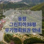 용평 리조트 그린피아 38평 법인 무기명회원권 매매