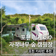 경기도 포천 호수뷰가 멋진 청계호수자작나무숲캠핑장