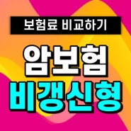 암보험비갱신형 추천 받고 망설이지 않고 암보험가입하자