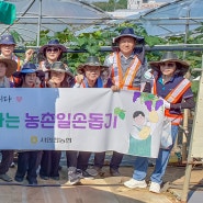인천교통공사, 서인천농협과 농번기 농촌일손돕기 ‘구슬땀’