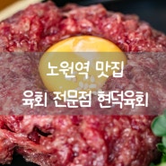 노원역 맛집 숙성 육회 육사시미 육물회 추천 현덕육회 방문 후기