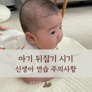 아기 뒤집기 시기 신생아 연습 주의사항