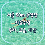서울 수도권 50m 수영장 자유수영 이용 요금, 시간, 수심, 주차 정리(+인천부천경기 50m 수영장)