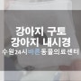 강아지 구토, 강아지내시경, 강아지이물제거, 강아지자두씨, 수원24시동물병원, 화성24시동물병원, 봉담24시동물병원, 화서24시동물병원, 남양동물병원, 매산동물병원, 향남동물병원