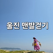 국내 여름여행지 추천 울진 맨발걷기 좋은곳 월송정 평해사구습지