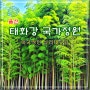 [태화강 국가 정원/울산] 이국적인 십리 대숲