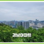 순자산 5억으로 강남 아파트 등기 치기 (ft.강아사 5편)