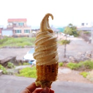 제주 조천 카페 점점 초당옥수수 아이스크림 제주도 애견동반 카페