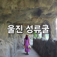 경북 울진 여행코스 성류굴 시원한 포토스팟 가볼만한곳 ! 입장료 주차