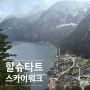 오스트리아 할슈타트 관광지 소개 할슈타트 스카이워크 전망대(feat. 걸어서 올라가는 방법)